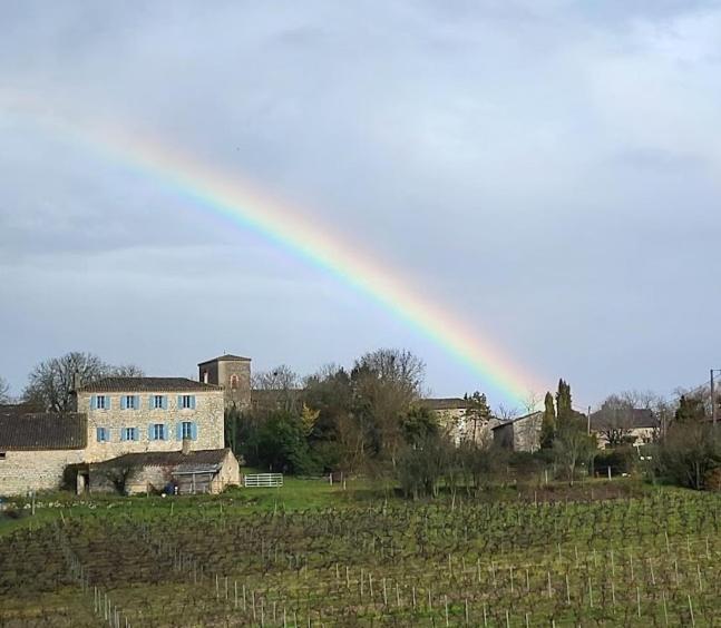 Le Clos Saint Georges Donnazac Exterior foto